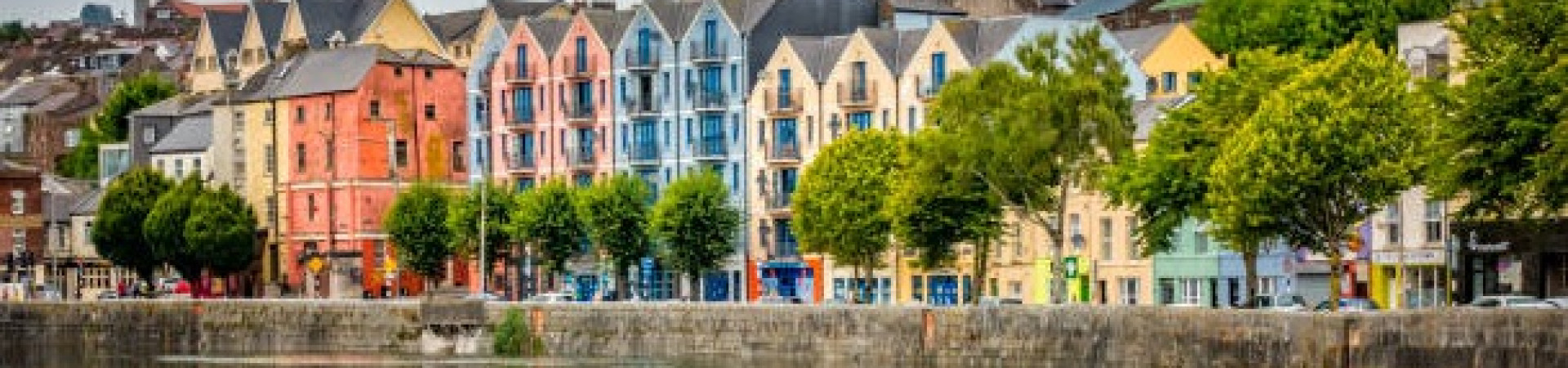 CORK + 50 ANYS (REGNE UNIT)